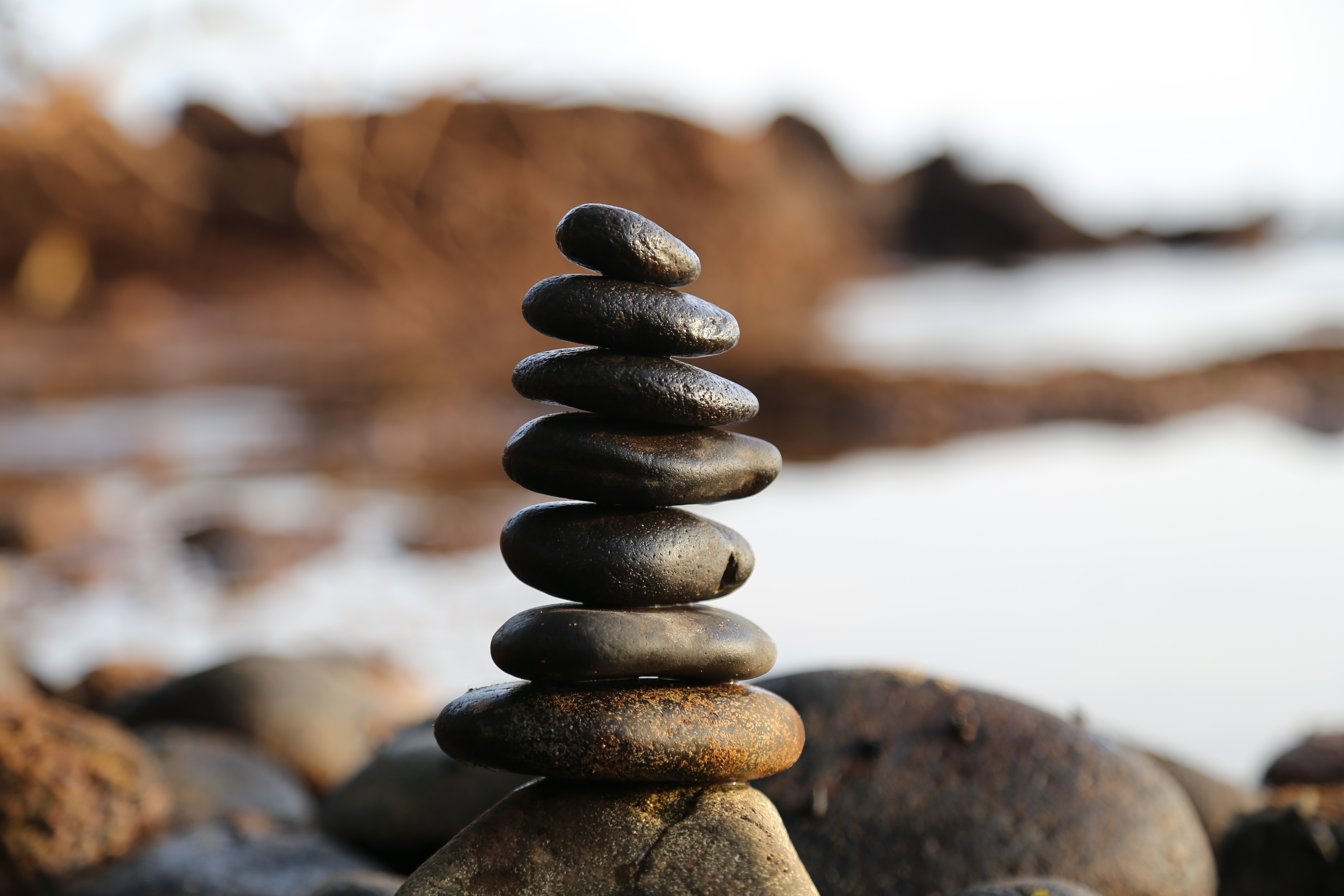 Yoga and Meditation Retreats
